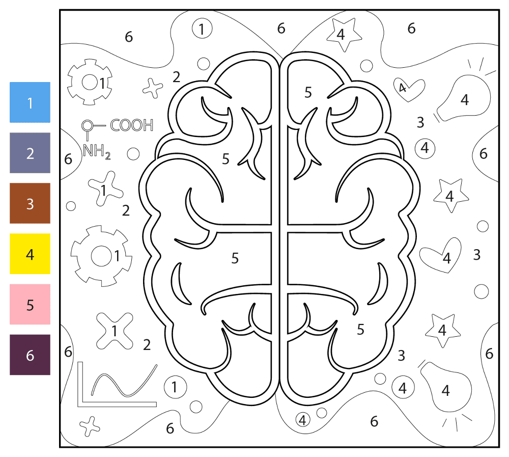 Brain Color By Number Coloring Page Md Coloring Page — Free Printable — free printable coloring page